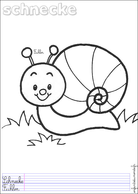 coloriage escargot 2 .. Coloriages Animaux de la forêt en allemand